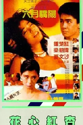 花和尚综合